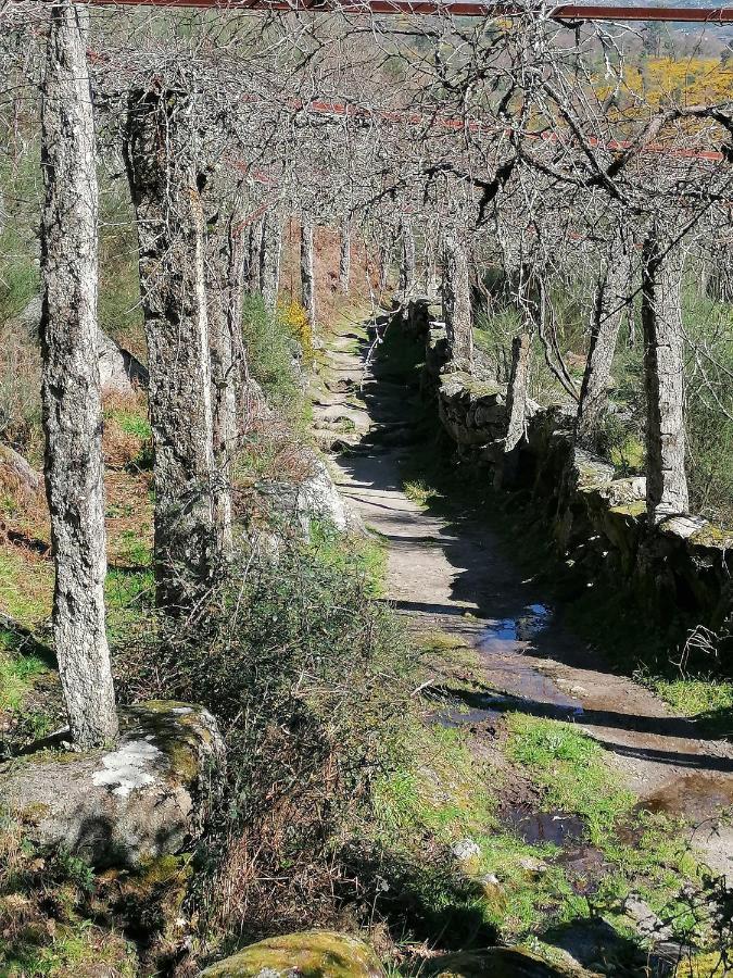 De Charme Casa Fundevila 3* Vila Verde (Braga)